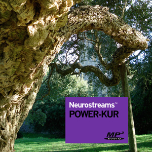 Neurostreams™ Power Kur (Immunsystem)