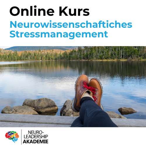 Neurowissenschaftliches Stressmanagement
