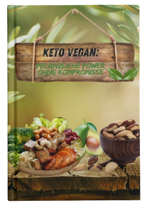 E-Book Keto Vegan 100% Provision
