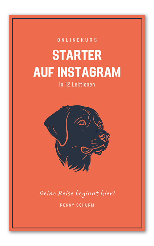Onlinekurs für Hundebesitzer: Starter auf Instagram