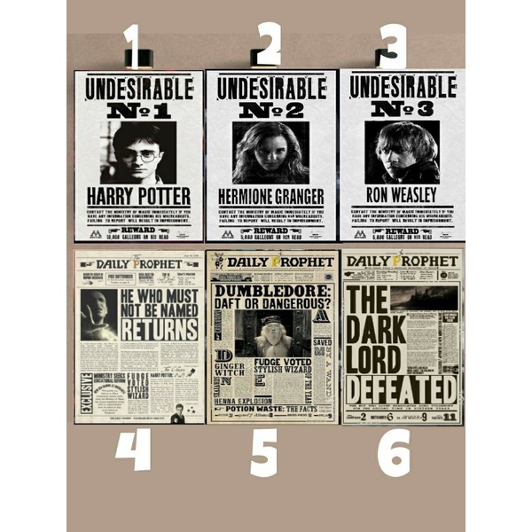 Poster MDF A4 Harry Potter Ron Weasley Hermione Granger Voldemort Dumbledore Hogwarts Undesirable