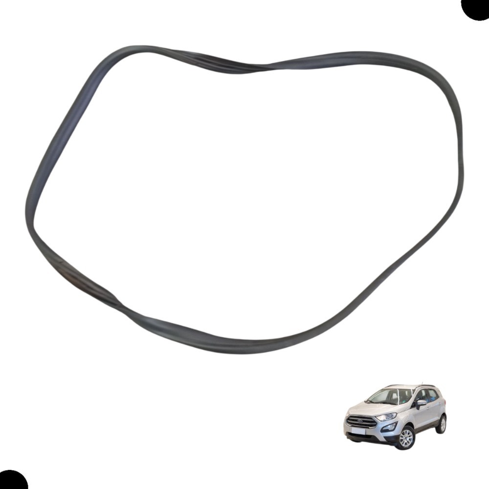 Borracha Porta Traseira Direita Ford Ecosport 2017 2018 2019 Preto