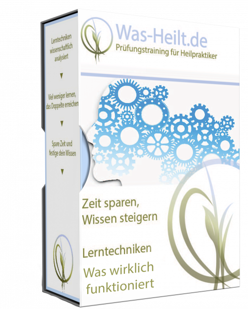 Lerntechniken- Was wirklich funktioniert