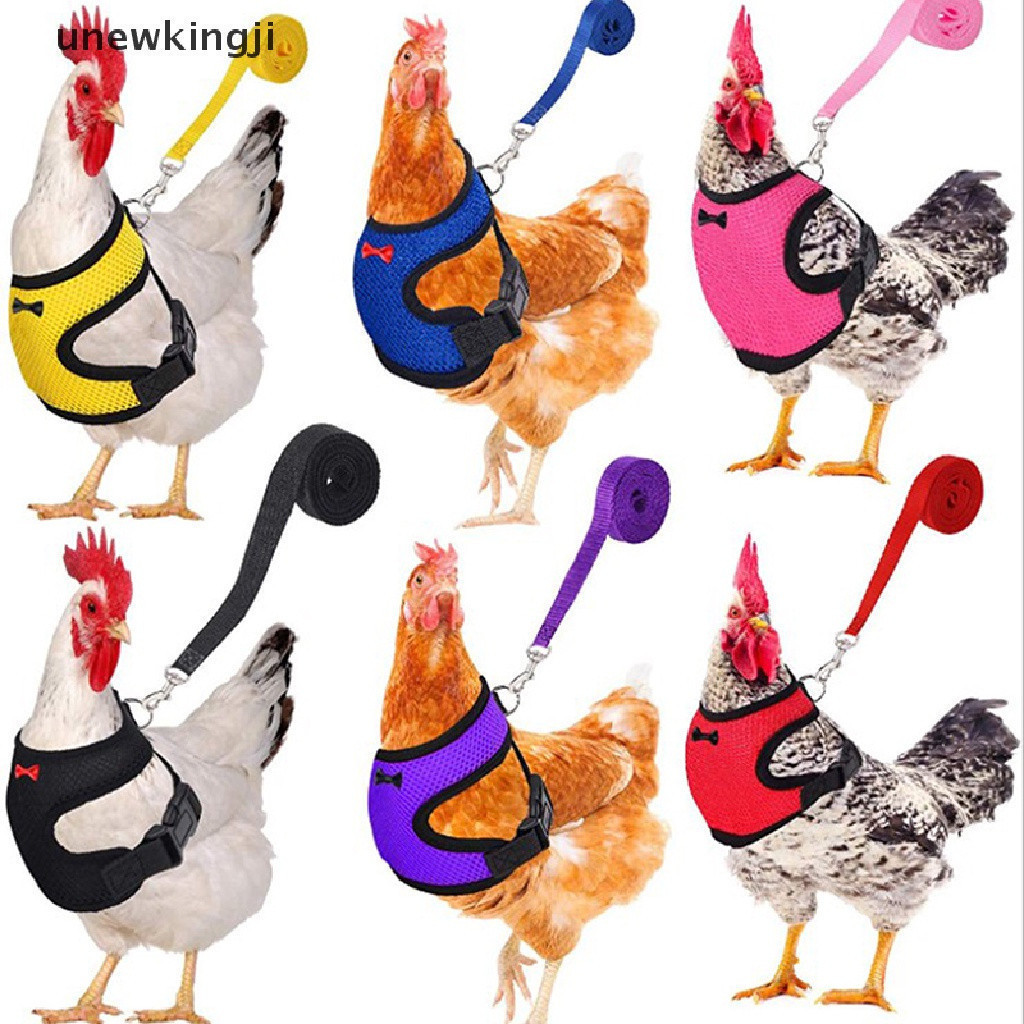 unew Chicken Colete Hen Belt Cinto De Galinha Arreios Para Animais De Estimação Coleiras De Correspondência Arco Confort