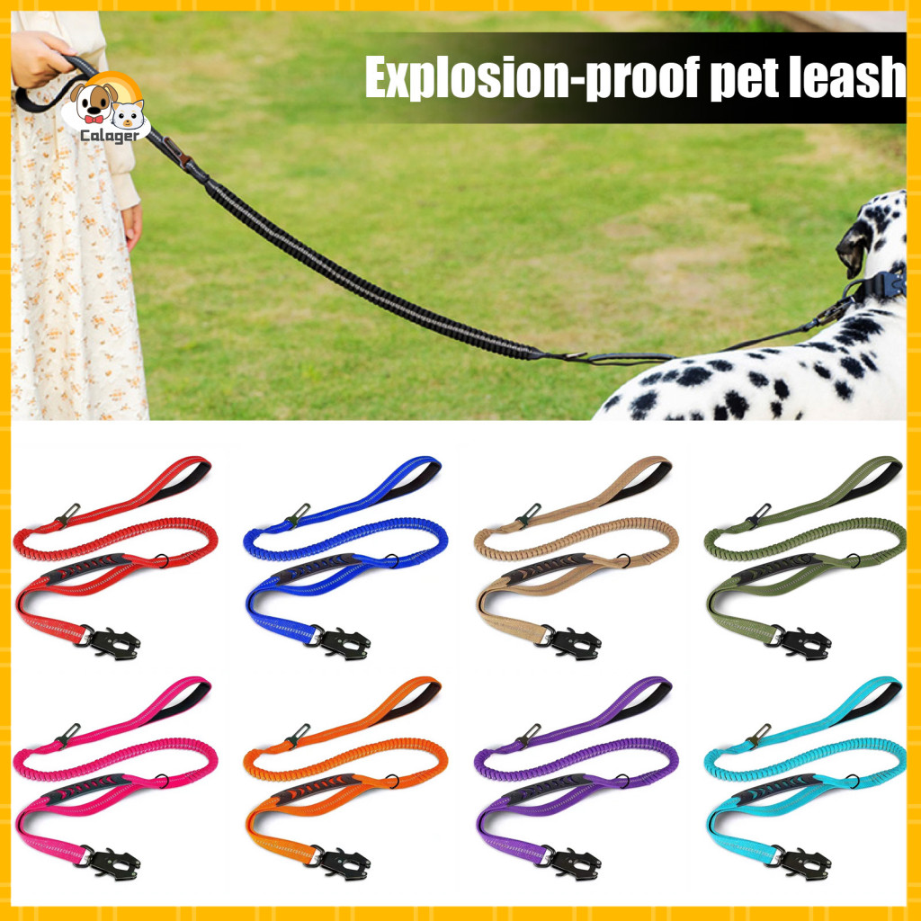 Heavy Duty Dog Leash Pet with Multi-purpose Handle Reflective No-pull Bungee Double Frog Clip – Durable for Medium for