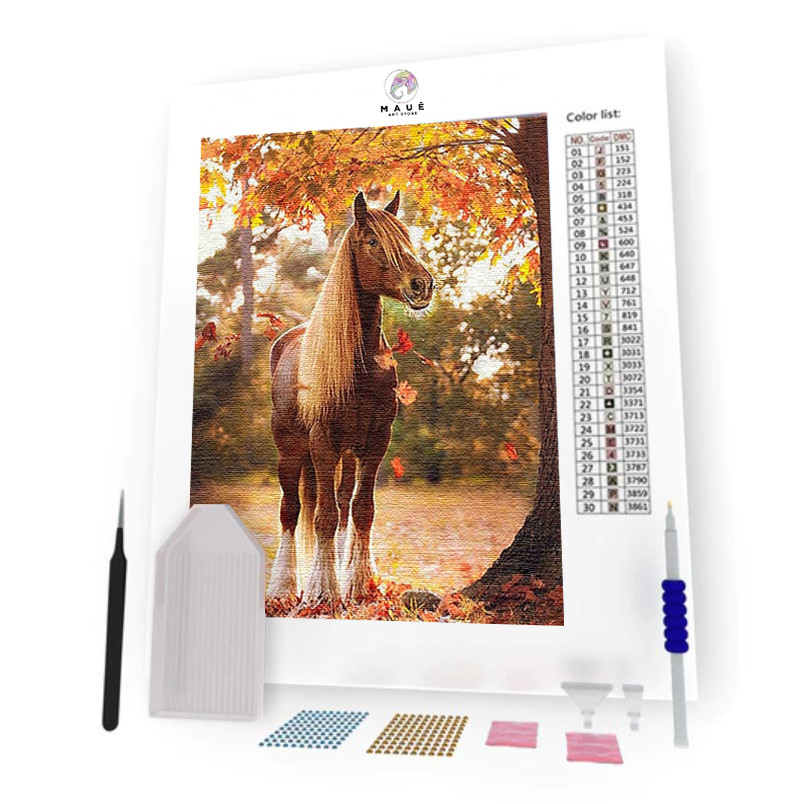 Kit Pintura Diamante - Cavalo   (Diamond Art)