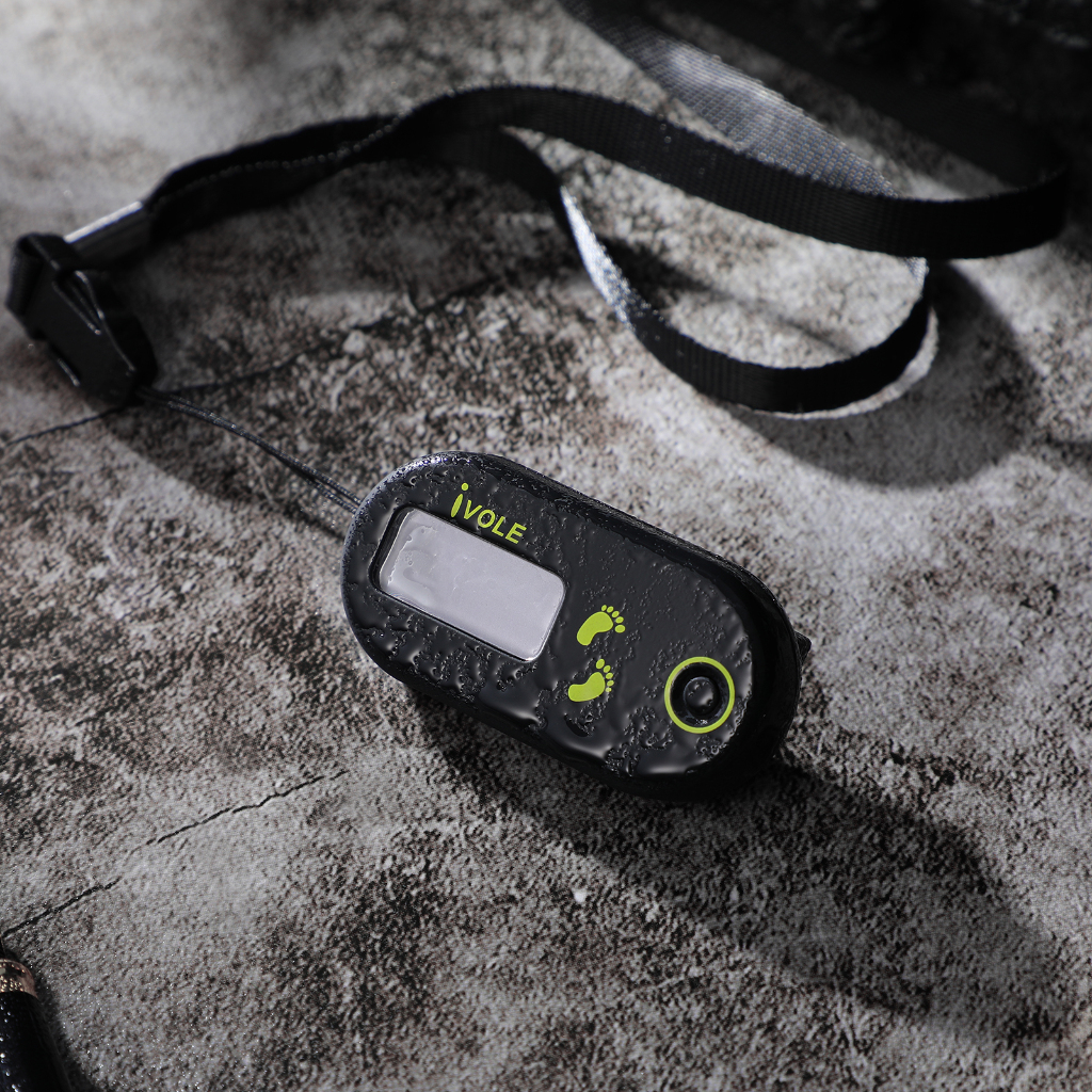 📅 Mini 3D Digital Pedometer Preto de ABS Durável para Diário