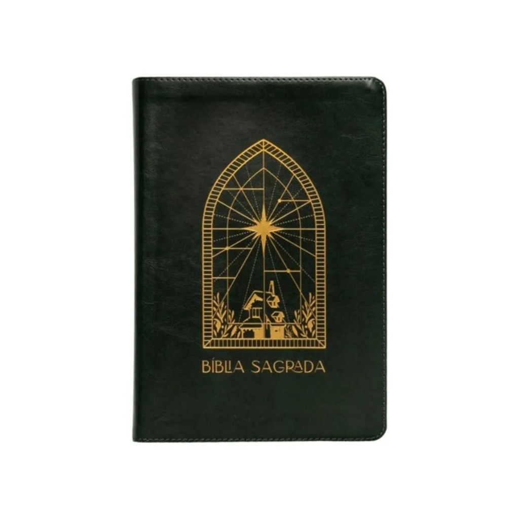 Bíblia Sagrada The Purpose Book | A21 | Espaço Para Anotações | Capa Soft Verde