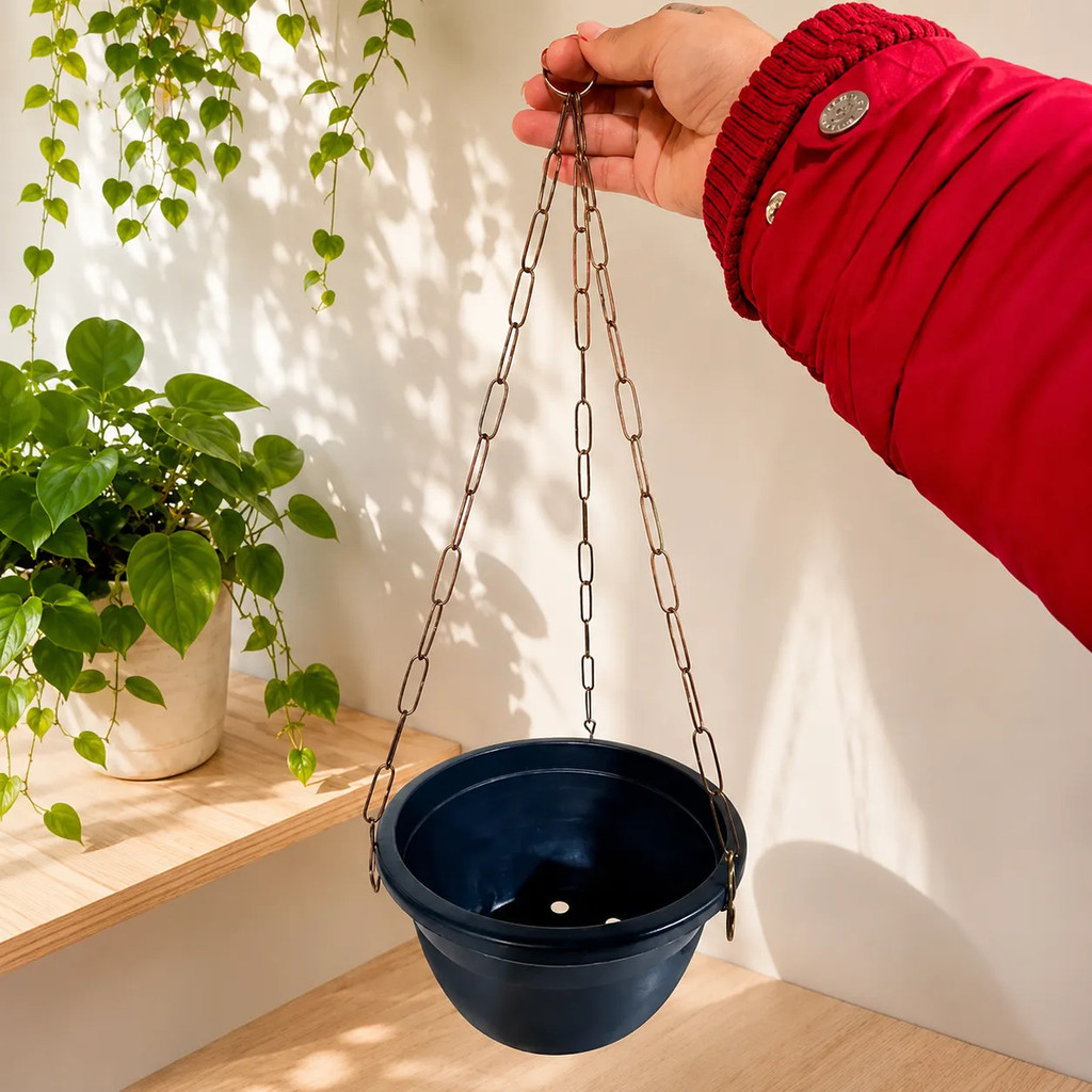 Kit De 2,6,12 Vasos Cuia 21cm E Corrente 44cm P/  Plantas