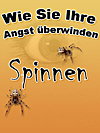 Angst vor Spinnen