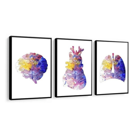 Quadros Decorativo Mosaico 30X50 3 peças Mdf Alta Resolução Full HD Anatomia Humana Profissão Medicina