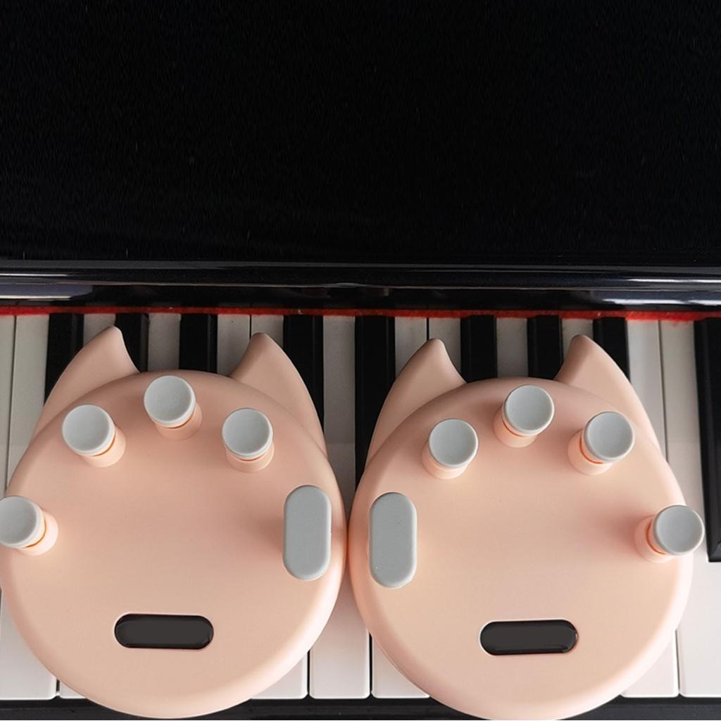 Irfora 2PCS Piano Finger Trainer Exercitador de aderência ergonômica para iniciantes feito de ABS durável e silicone