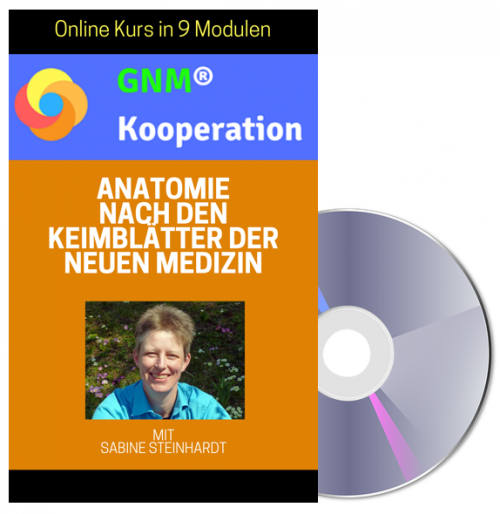 Anatomie nach den Keimblätter der Neuen Medizin
