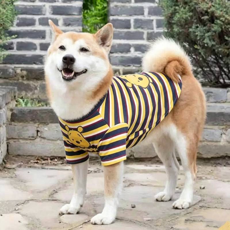 Summer Thin Cartoon Bear Pet Clothes Handsome T-shirt Large Dog Clothing Labrador Shiba Inu Golden Retriever imRm