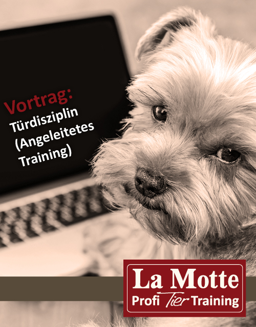 Vortrag: Türdisziplin (Angeleitetes Training)