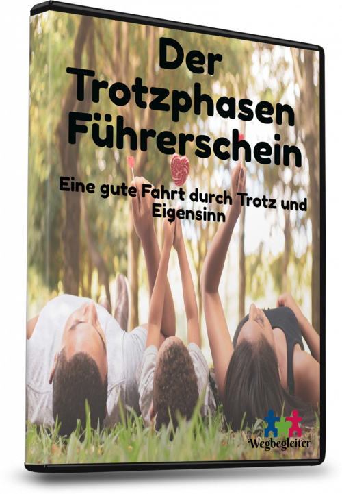 Hilfe in der Trotzphase