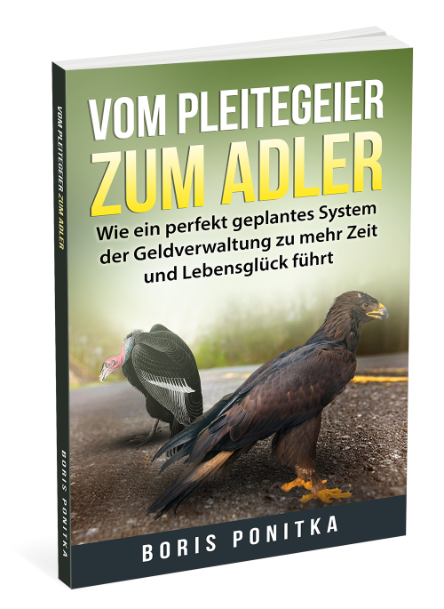 Vom Pleitegeier zum Adler - eBook