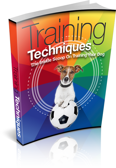 Training Techniques