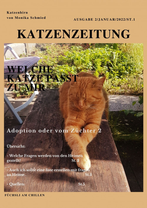 Katzenhirnzeitung