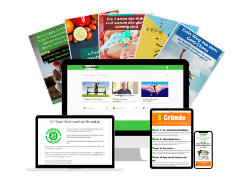 Das Strategieplan-Programm von Zukunftsfieber