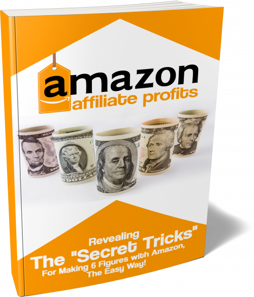 Amazon Affiliates Profits