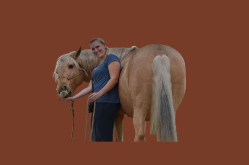 Deine magische Pferdebeziehung - Basic