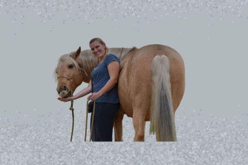 Deine magische Pferdebeziehung - Premium