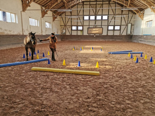 Online Kurs - Muskelaufbautraining