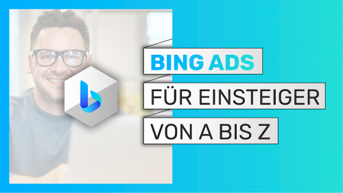 Bing Ads Pro 2023
