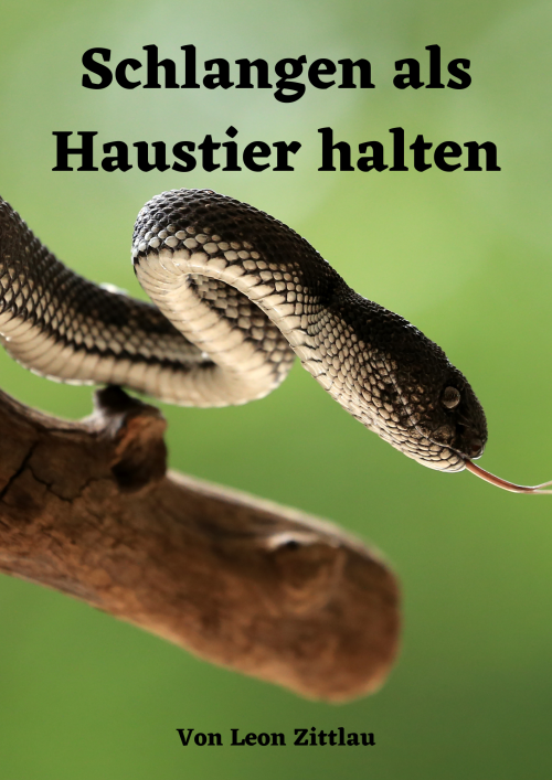 Schlangen als Haustier halten