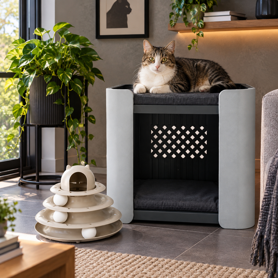 Casa De Gato Cachorro Dois Andares com colchonete Beliche Pet Stand Porte Pequeno Jel Plast + Brinquedo Torre