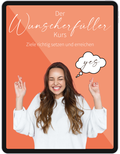Der Wunscherfüller-Kurs - Ziele richtig setzen und erreichen