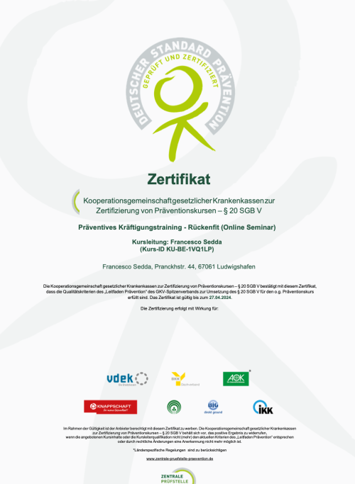 Präventives Kräftigungstraining - Rückenfit (Online Seminar)