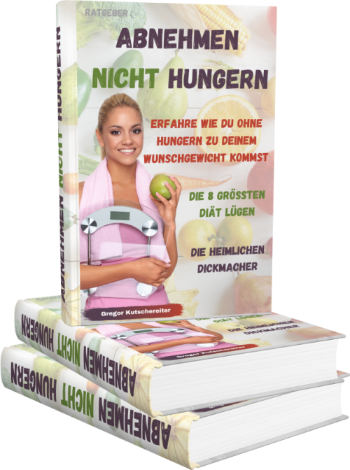 E-Book Abnehmen nicht Hungern