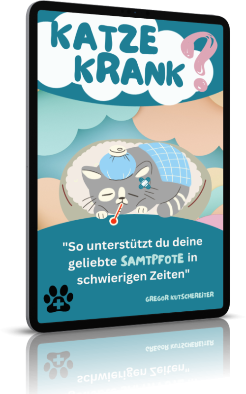 Ê-Book Katze krank?