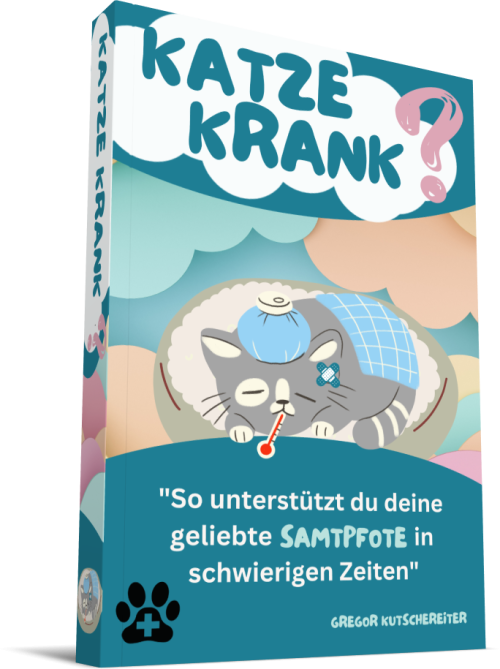 Taschenbuch Katze krank?