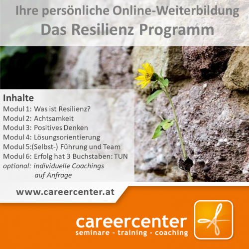 Das Online-Resilienz-Programm (E-Learning)