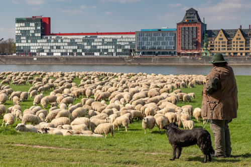 Managementsystem zur Weiterentwicklung mit der Zeit
