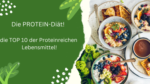 Die Protein Diät
