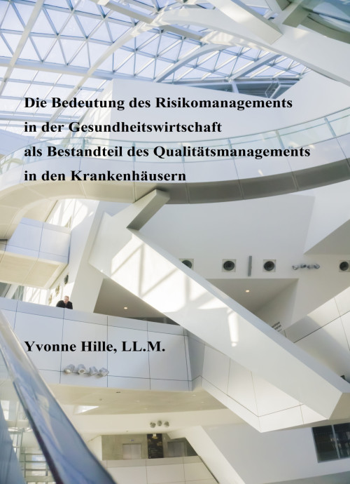 Die Bedeutung des Risikomanagements, Gesundheitswirtschaft
