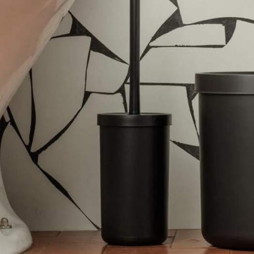 Escova Sanitária Banheiro Lavabo Bold Ou