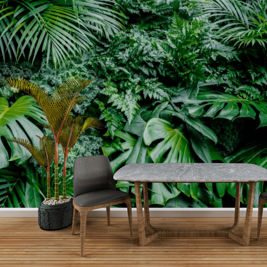 Papel de Parede Linha Studio Decor Folhagens Tropicais Variedades Folhas Largas