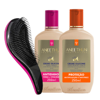 ANEETHUN KIT CREME SILICONE + ESCOVA  PROTEÇÃO E ANTIDANOS  250ml