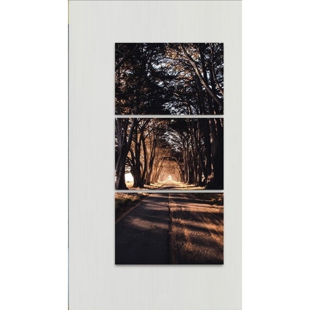 Quadro decorativo Vertical Corredor de Árvores Estrada