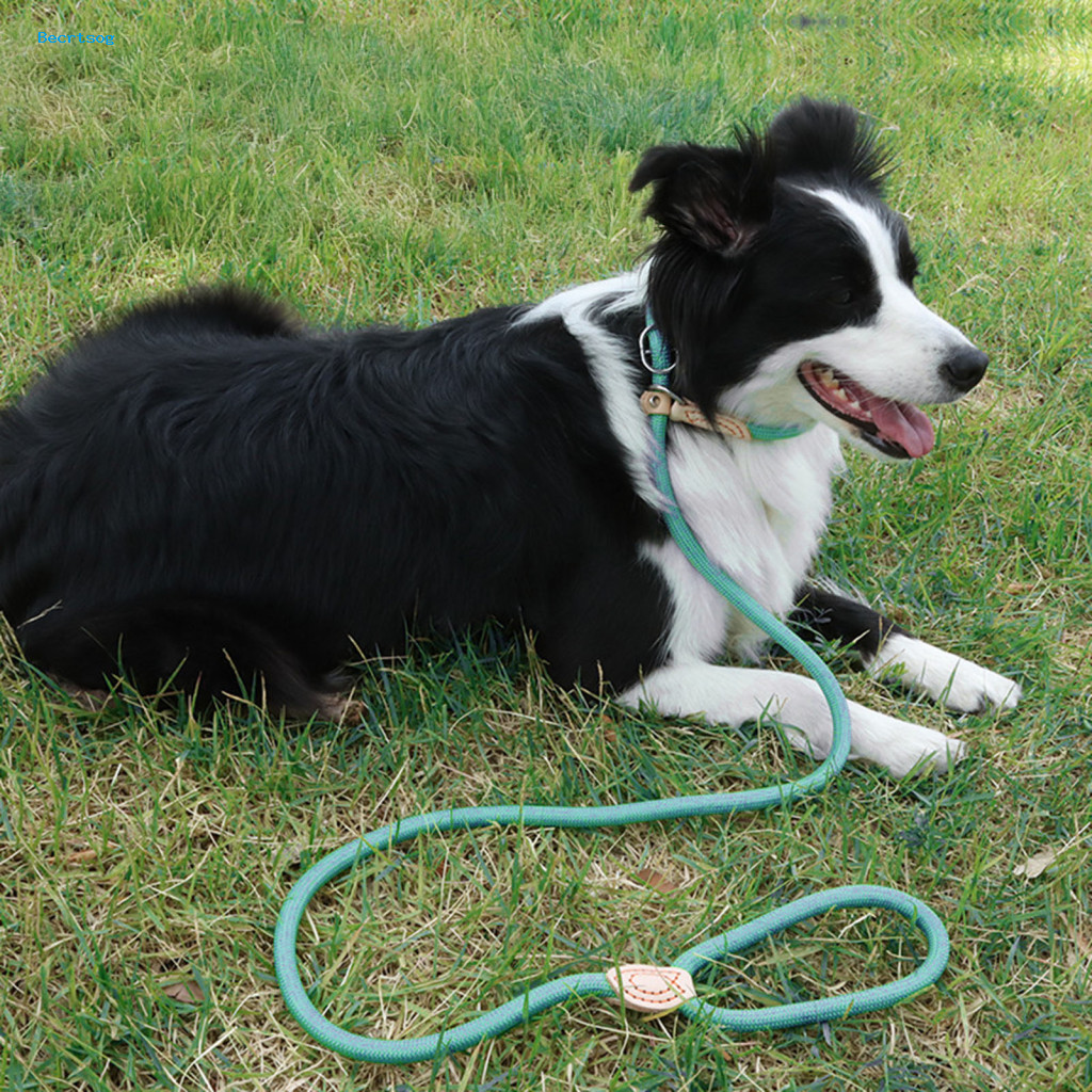 Adjustable Length Pet Leash Sturdy Braided Rope Lead Heavy Duty Nylon Slip for Medium Dogs – No Pull Training for Walk