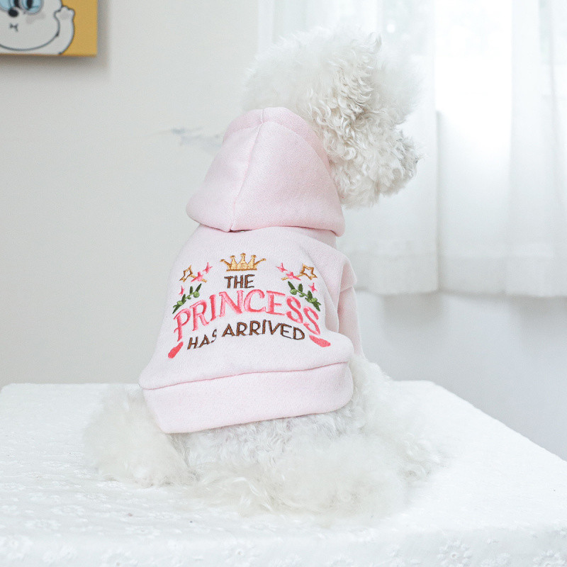 Cute and Warm Princess-Themed Hoodie - Pullover Design, All-Season, 100% Polyester, Ideal Christmas Gift for Small Sized