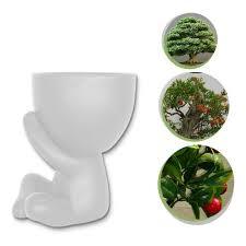 Vasinhos Suculentas Alt 6cm Robert Bob Planta Decoração
