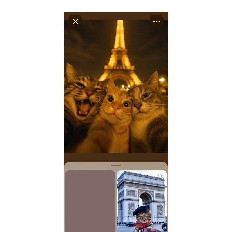 Quadro Decorativo Gatinhos em Paris