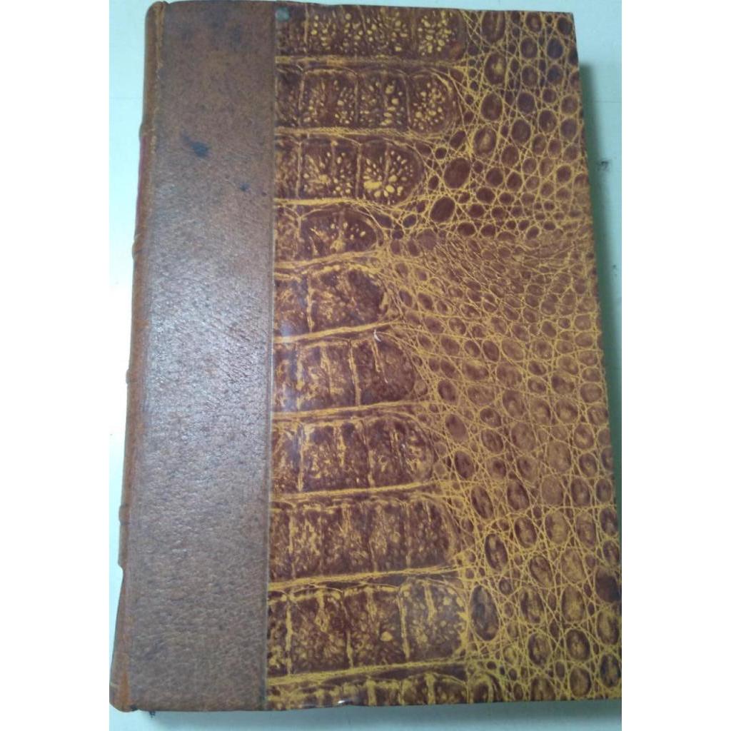 critical grammar of the hebrew language vol I