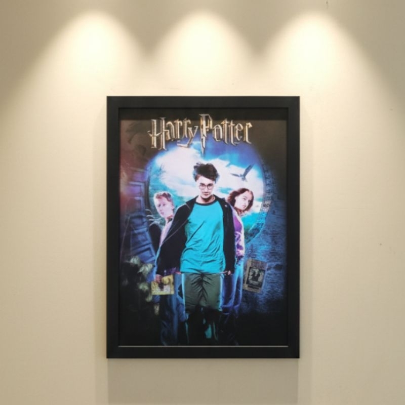 Quadro 3D/ Pôster 30x40 – Capas Clássicas Harry Potter | Decoração Geek Mágica/Presente criativo